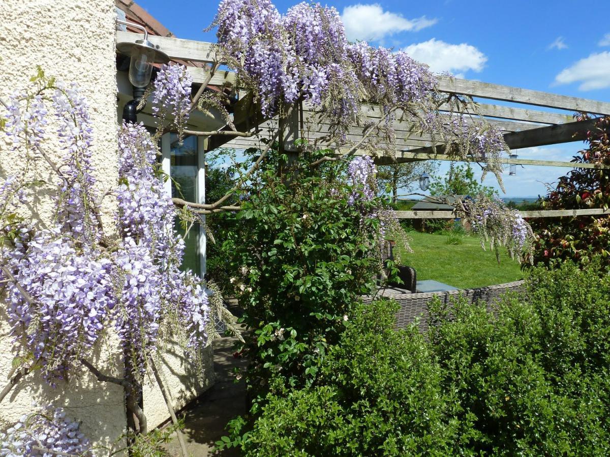 The Lodge, At Orchard Cottage Much Marcle Екстериор снимка